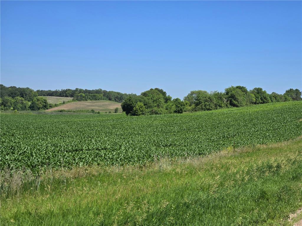 TBD County Hwy 83 Battle Lake MN 56515 6747722 image1