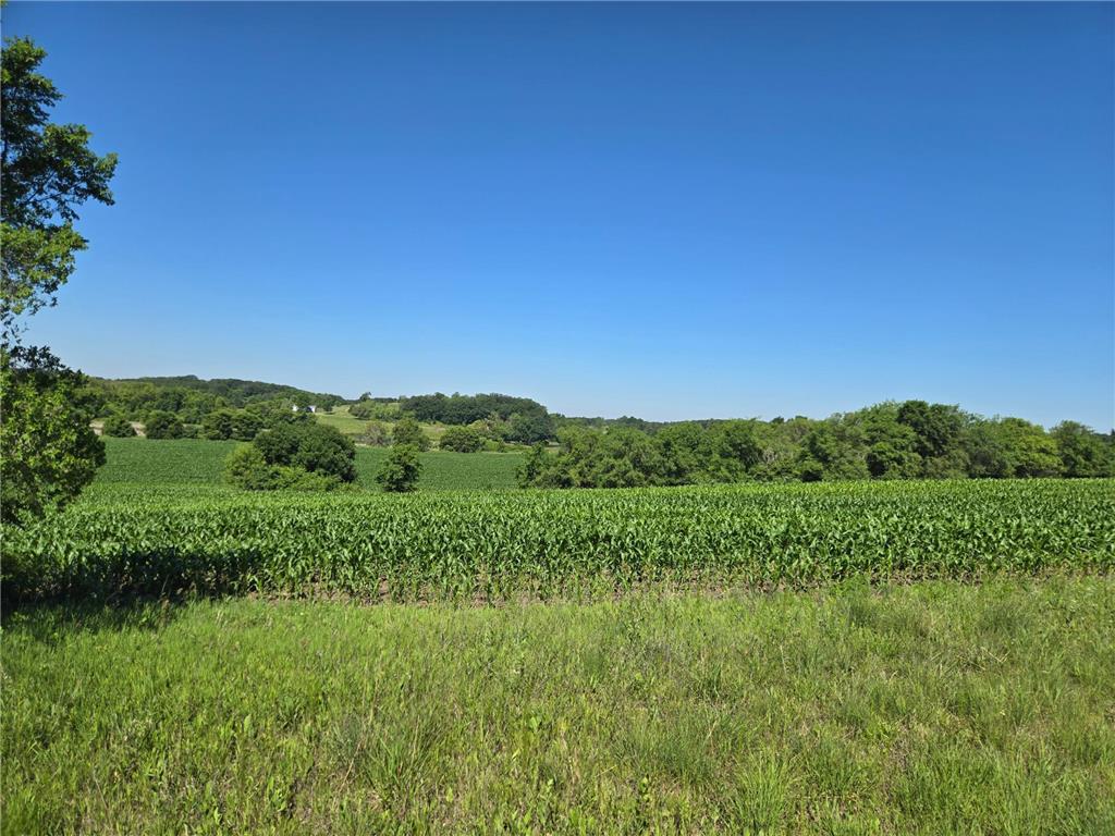 TBD County Hwy 83 Battle Lake MN 56515 6747722 image2