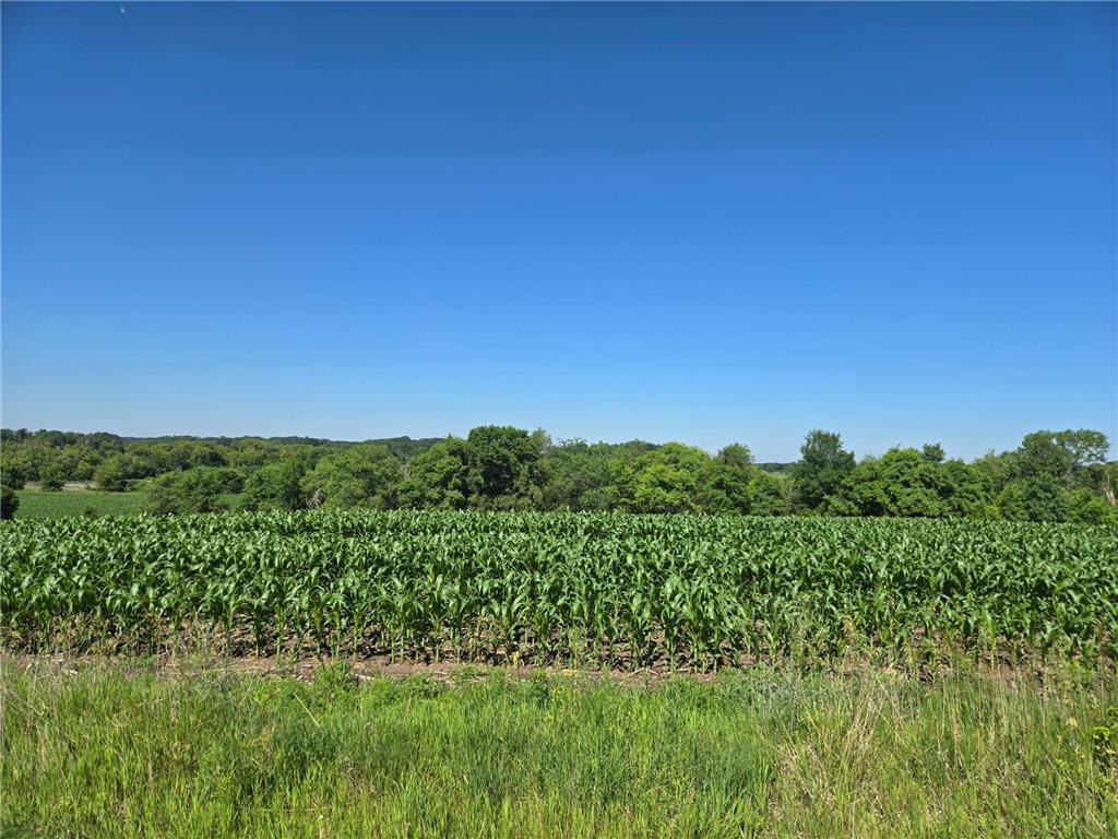 TBD County Hwy 83 Battle Lake MN 56515 6747722 image3