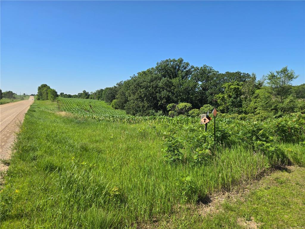 TBD County Hwy 83 Battle Lake MN 56515 6747722 image4