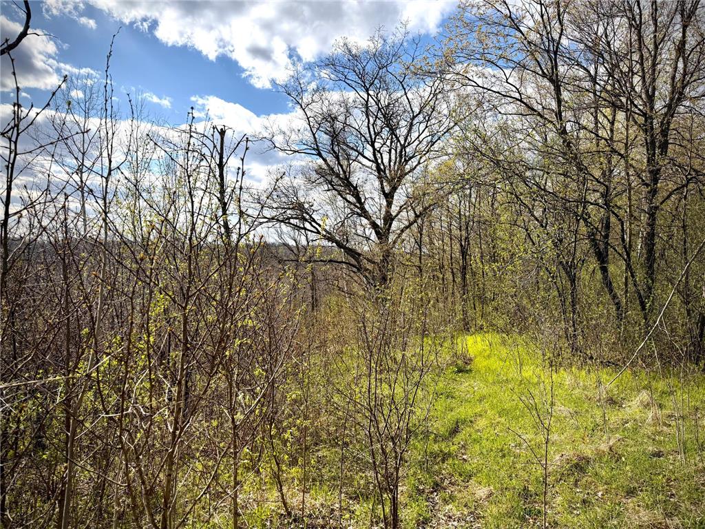 TBD County Line Avenue Black Brook Twp WI 54005 7102026 image1