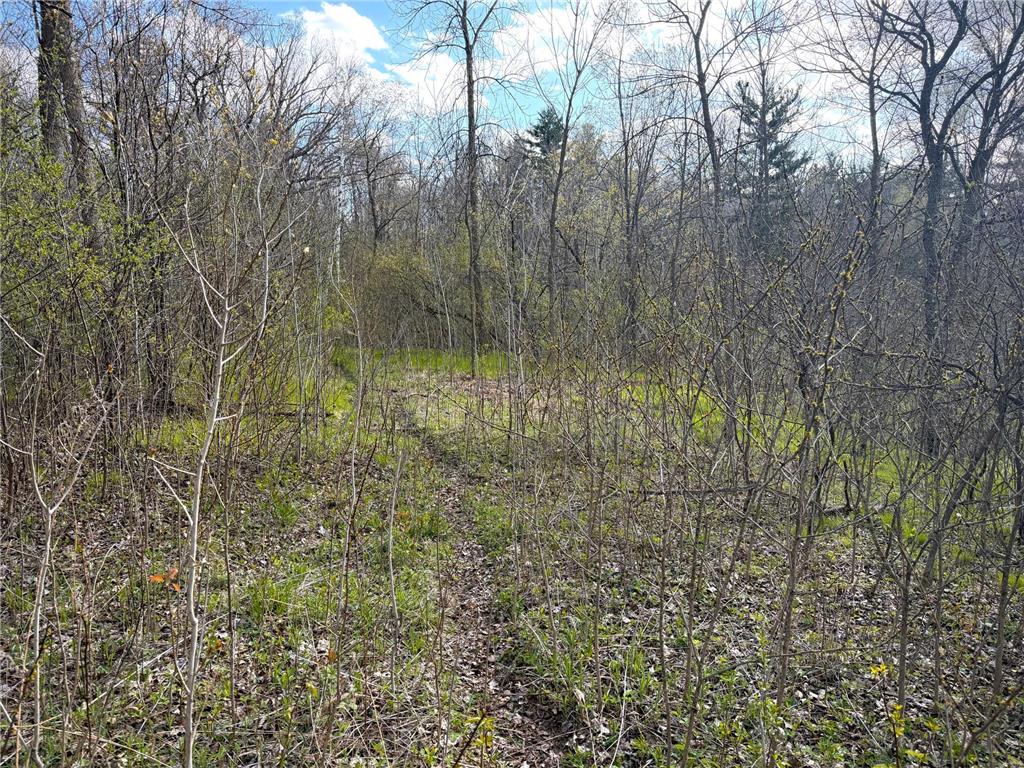 TBD County Line Avenue Black Brook Twp WI 54005 7102026 image11