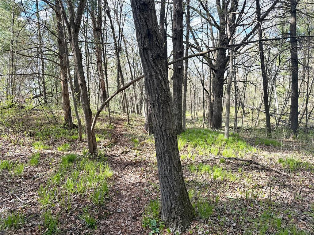 TBD County Line Avenue Black Brook Twp WI 54005 7102026 image12