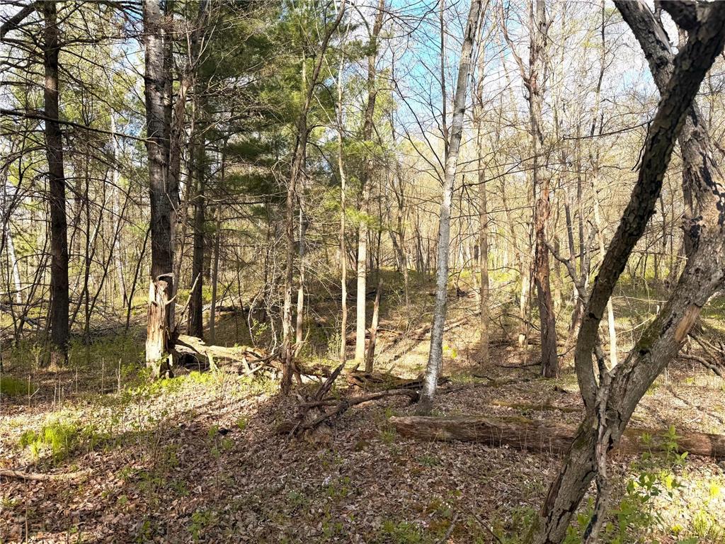 TBD County Line Avenue Black Brook Twp WI 54005 7102026 image13