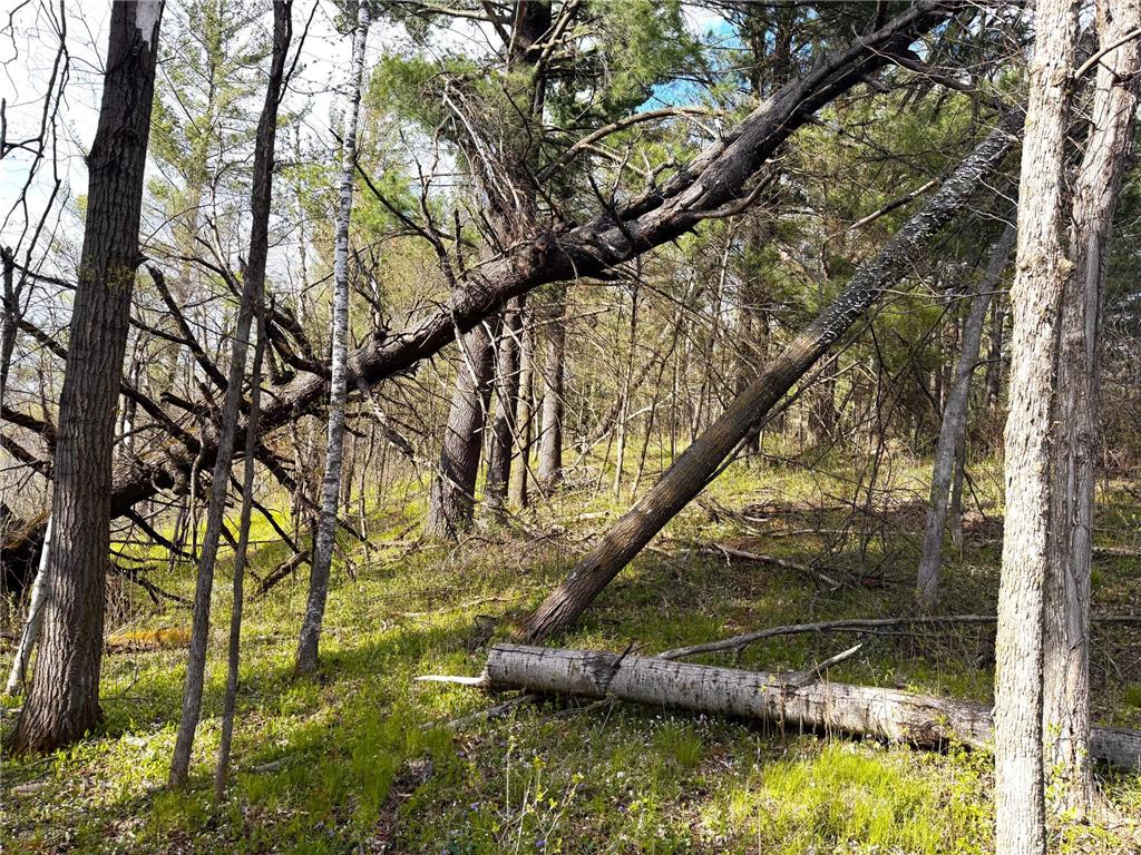 TBD County Line Avenue Black Brook Twp WI 54005 7102026 image2