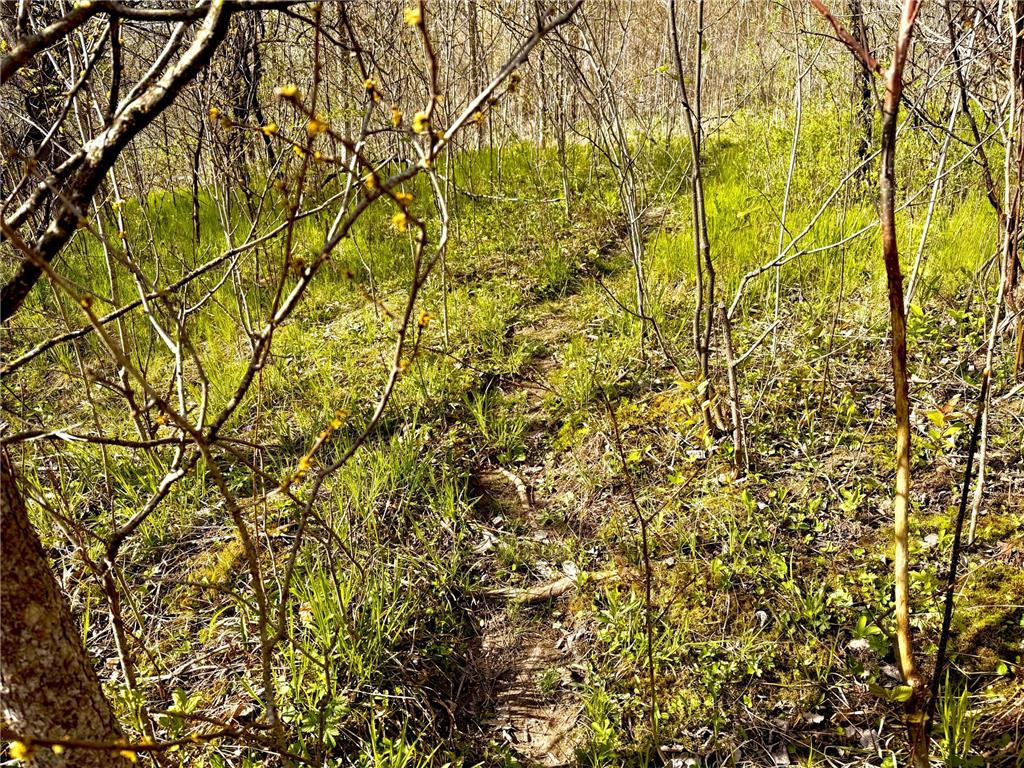 TBD County Line Avenue Black Brook Twp WI 54005 7102026 image3