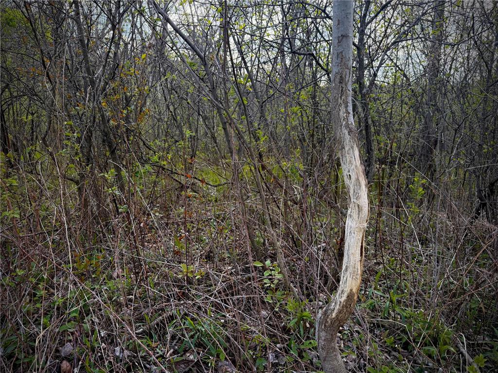 TBD County Line Avenue Black Brook Twp WI 54005 7102026 image6