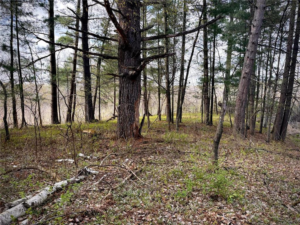 TBD County Line Avenue Black Brook Twp WI 54005 7102026 image7