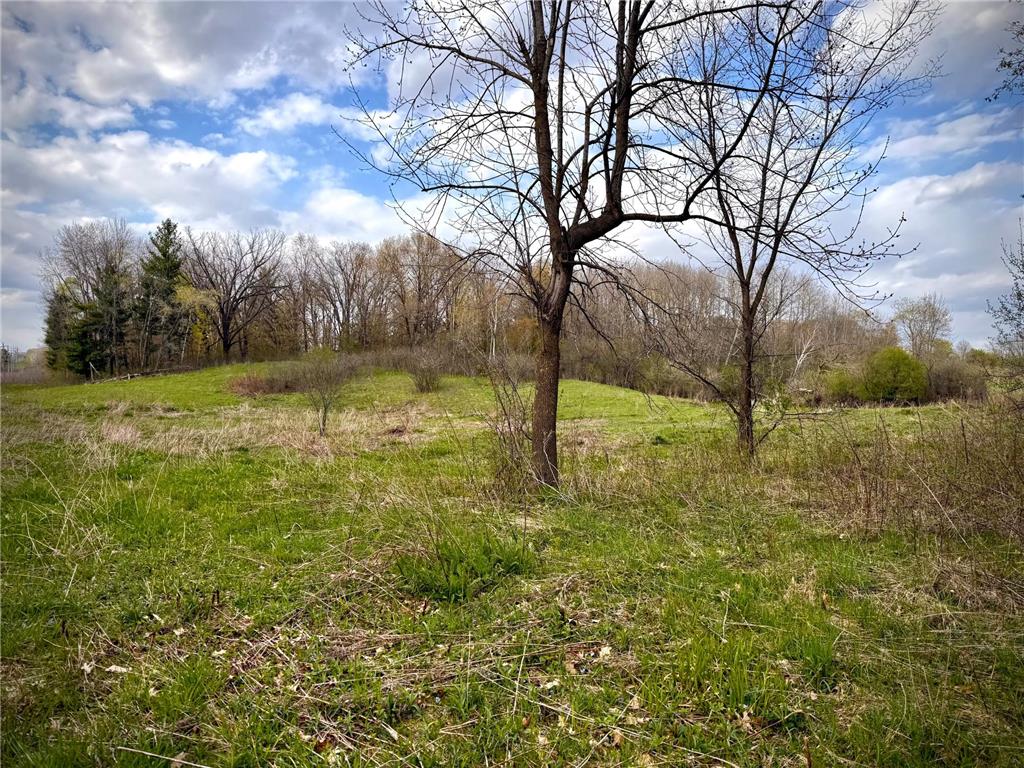 TBD County Line Avenue Black Brook Twp WI 54005 7102026 image8