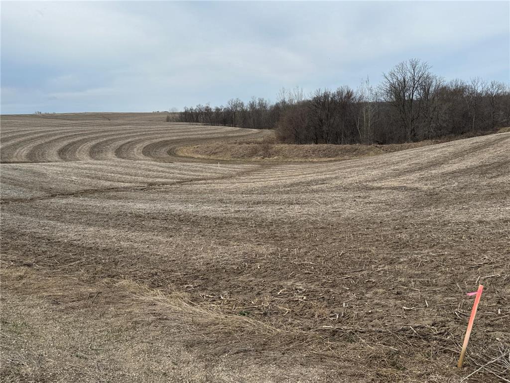 TBD County RD JJ Stockholm WI 54769 7048389 image12