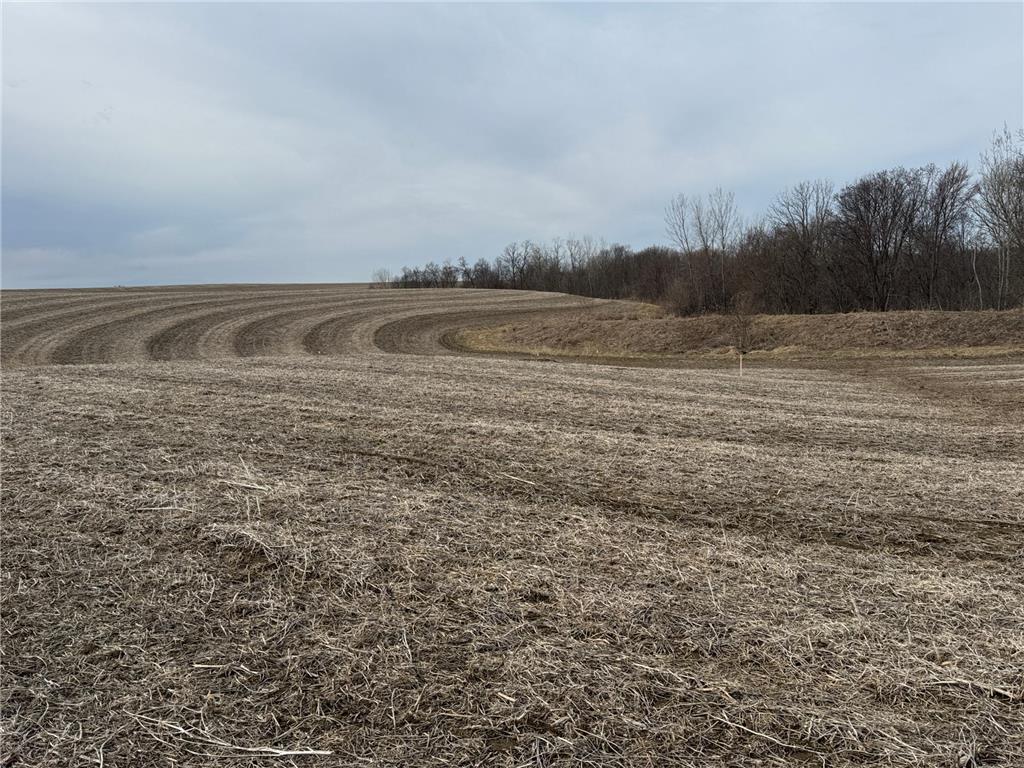 TBD County RD JJ Stockholm WI 54769 7048389 image13