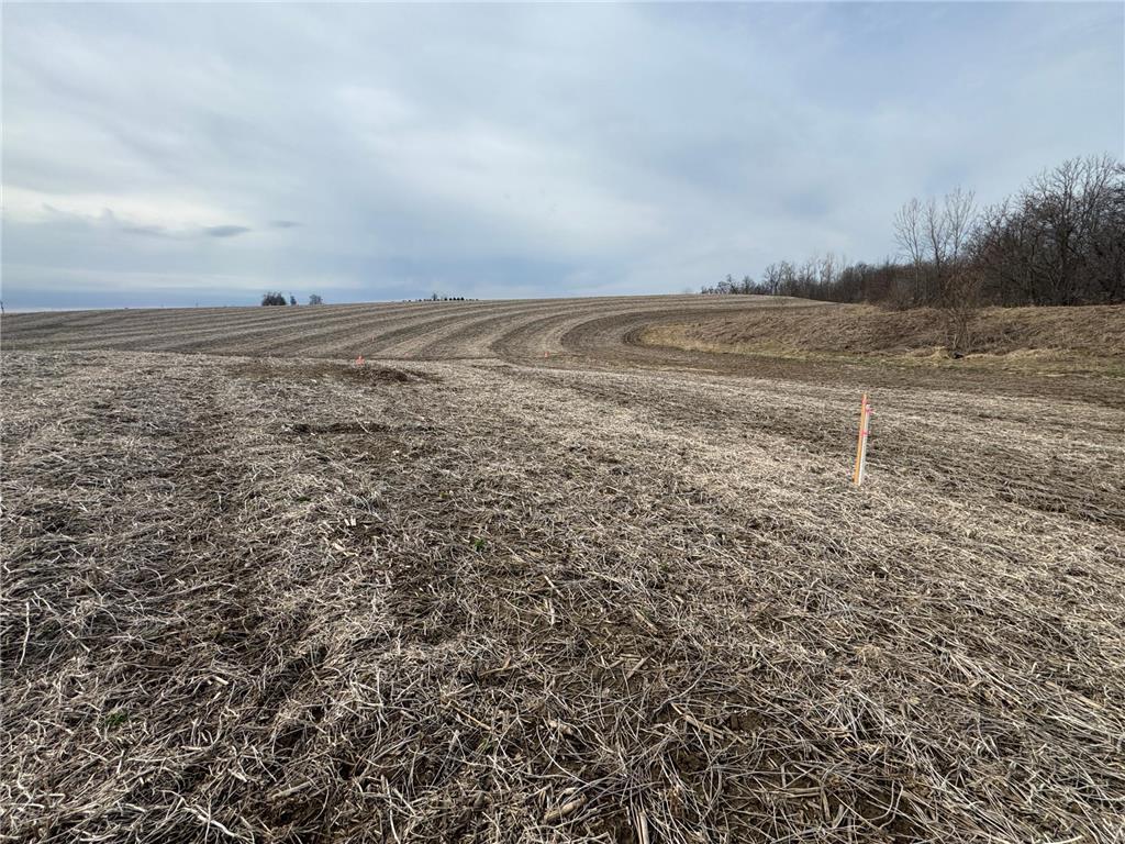 TBD County RD JJ Stockholm WI 54769 7048389 image14