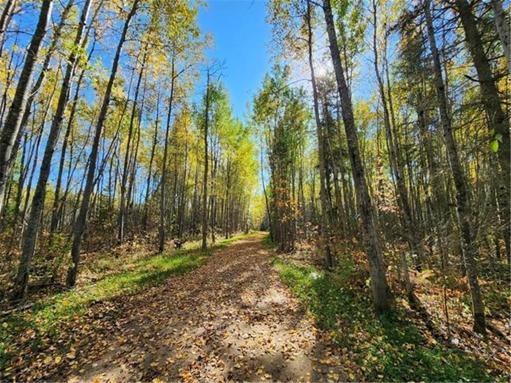 TBD County Rd 121 Deer River MN 56636 6447692 image1