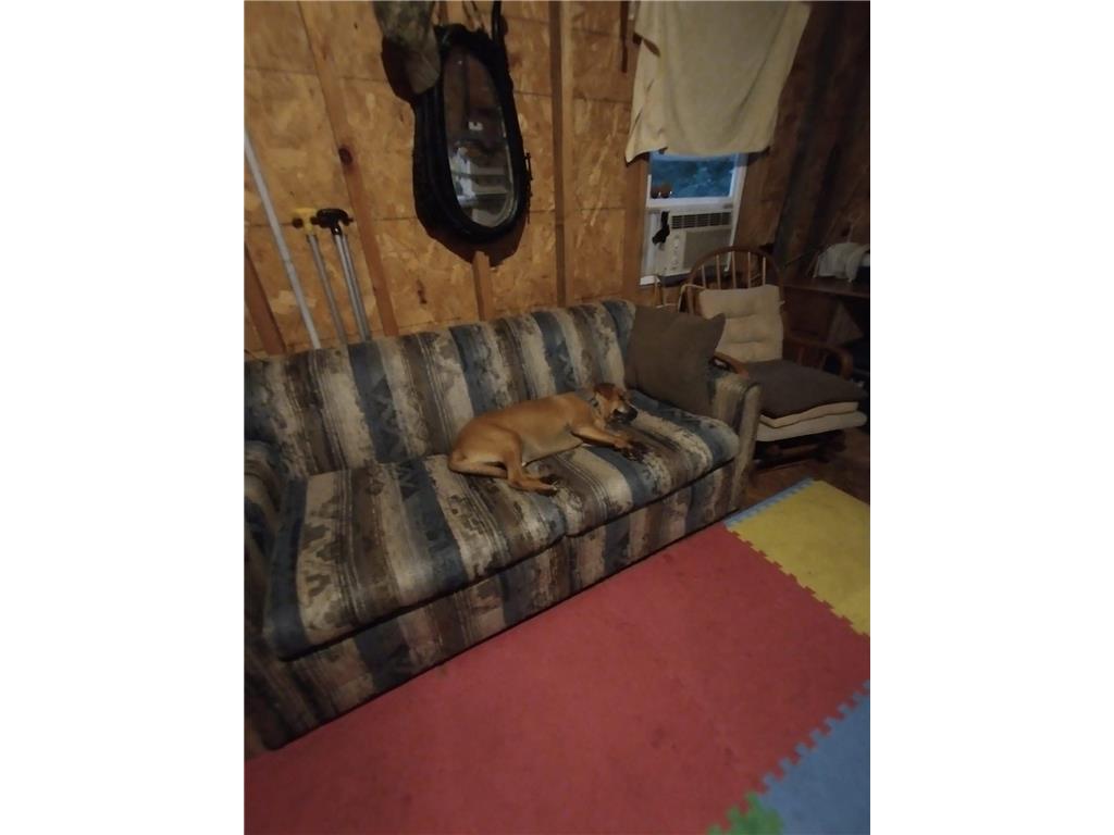 TBD County Rd 14 Nimrod MN 56478 - Crow Wing River 7073465 image17
