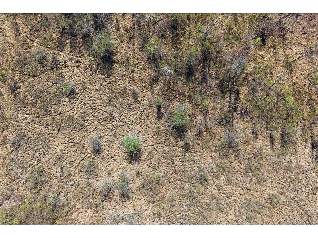 TBD County Rd 3 Lake Edward Twp MN 56468 - Edward 7074172 image18