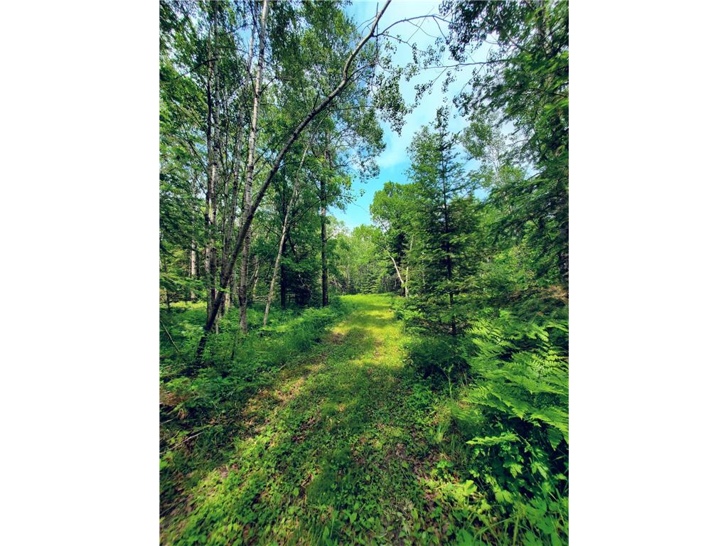 TBD County Rd 39 Hart Lake Twp MN 56461 6385407 image1