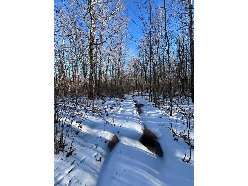 TBD County Rd 4 Skelton Twp MN 55707 7064415 image1