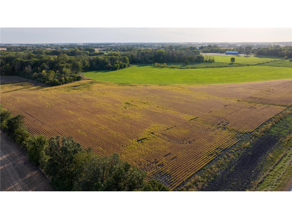 TBD County Rd. 50 San Francisco Twp MN 55315 6817928 image7
