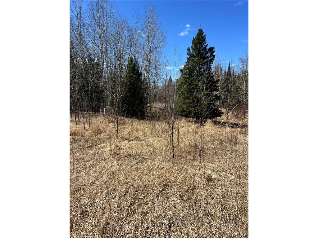 TBD County Rd 553 Nashwauk Twp MN 55769 7073824 image15