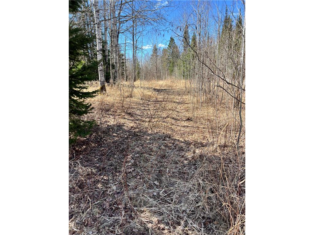 TBD County Rd 553 Nashwauk Twp MN 55769 7073824 image16