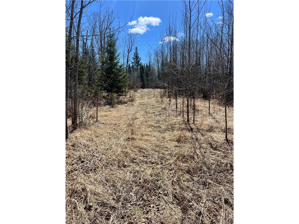 TBD County Rd 553 Nashwauk Twp MN 55769 7073824 image17
