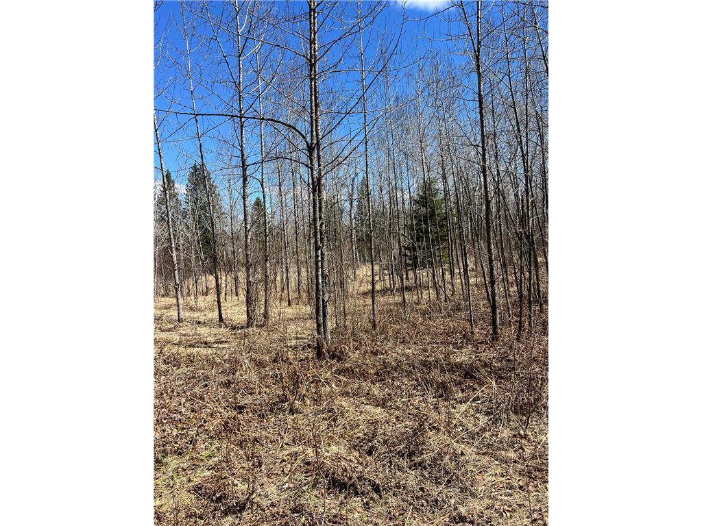 TBD County Rd 553 Nashwauk Twp MN 55769 7073824 image21