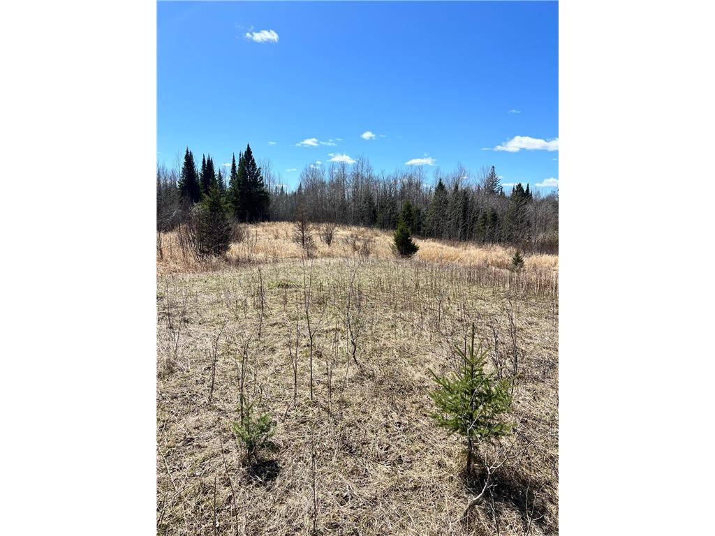 TBD County Rd 553 Nashwauk Twp MN 55769 7073824 image4