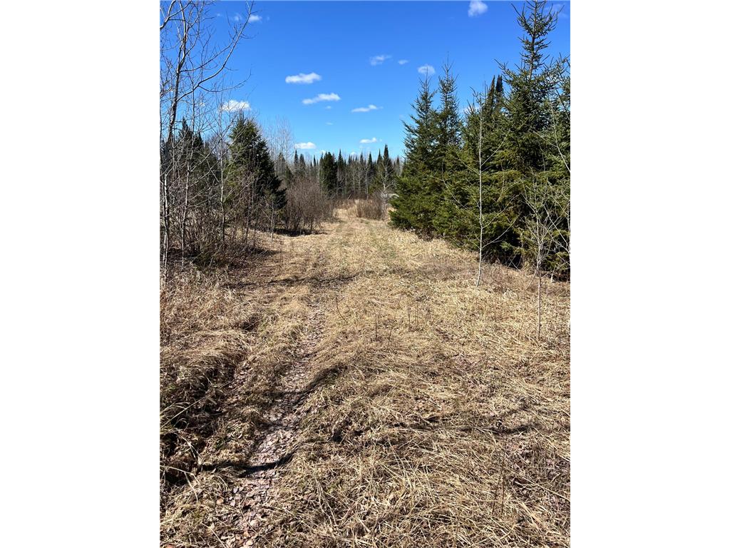 TBD County Rd 553 Nashwauk Twp MN 55769 7073824 image8