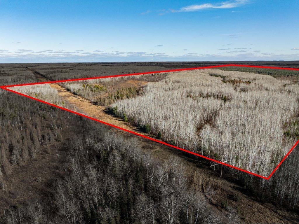 TBD County Rd 60 Grand Rapids MN 55744 6633113 image1