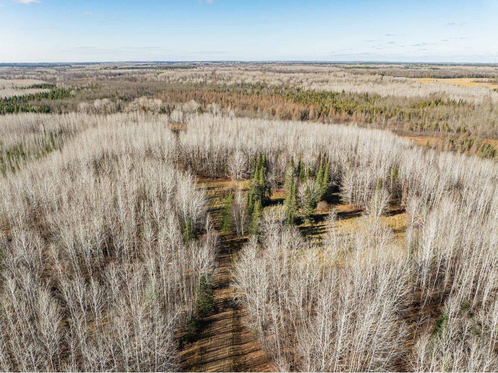 TBD County Rd 60 Grand Rapids MN 55744 6633113 image10