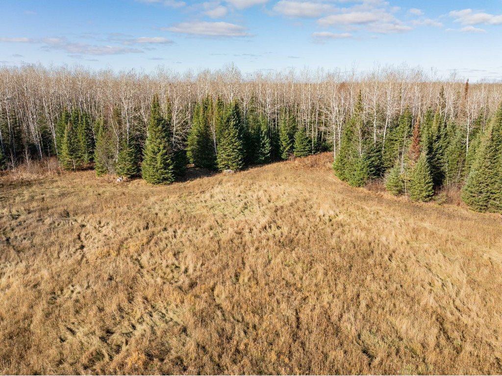 TBD County Rd 60 Grand Rapids MN 55744 6633113 image11