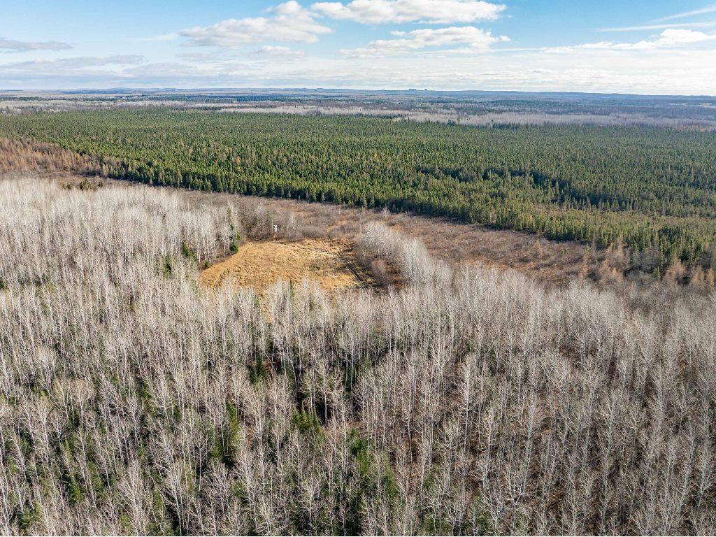 TBD County Rd 60 Grand Rapids MN 55744 6633113 image13