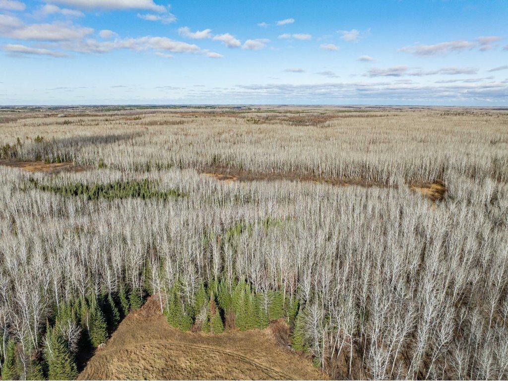 TBD County Rd 60 Grand Rapids MN 55744 6633113 image15