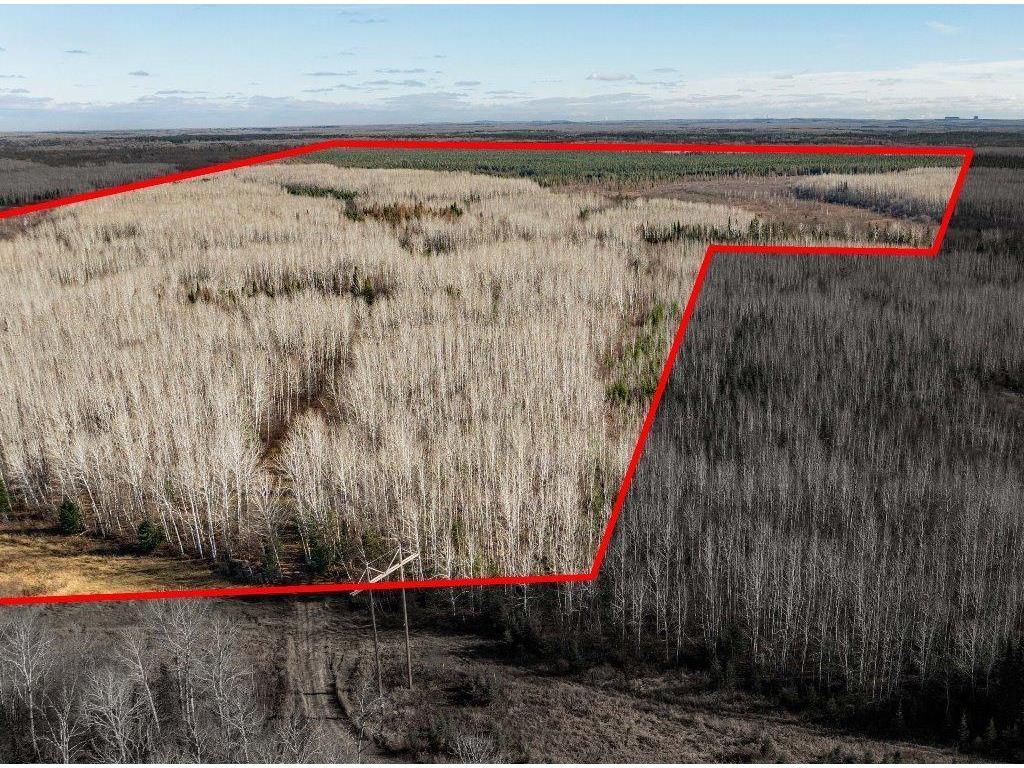 TBD County Rd 60 Grand Rapids MN 55744 6633113 image2
