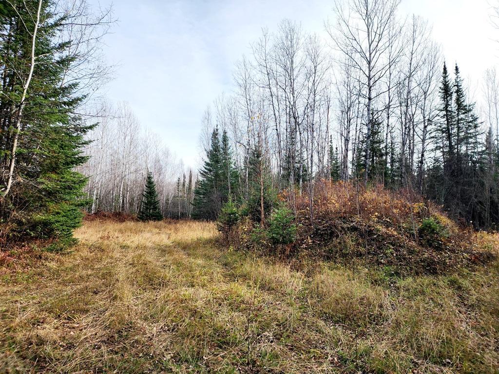 TBD County Rd 60 Grand Rapids MN 55744 6633113 image34