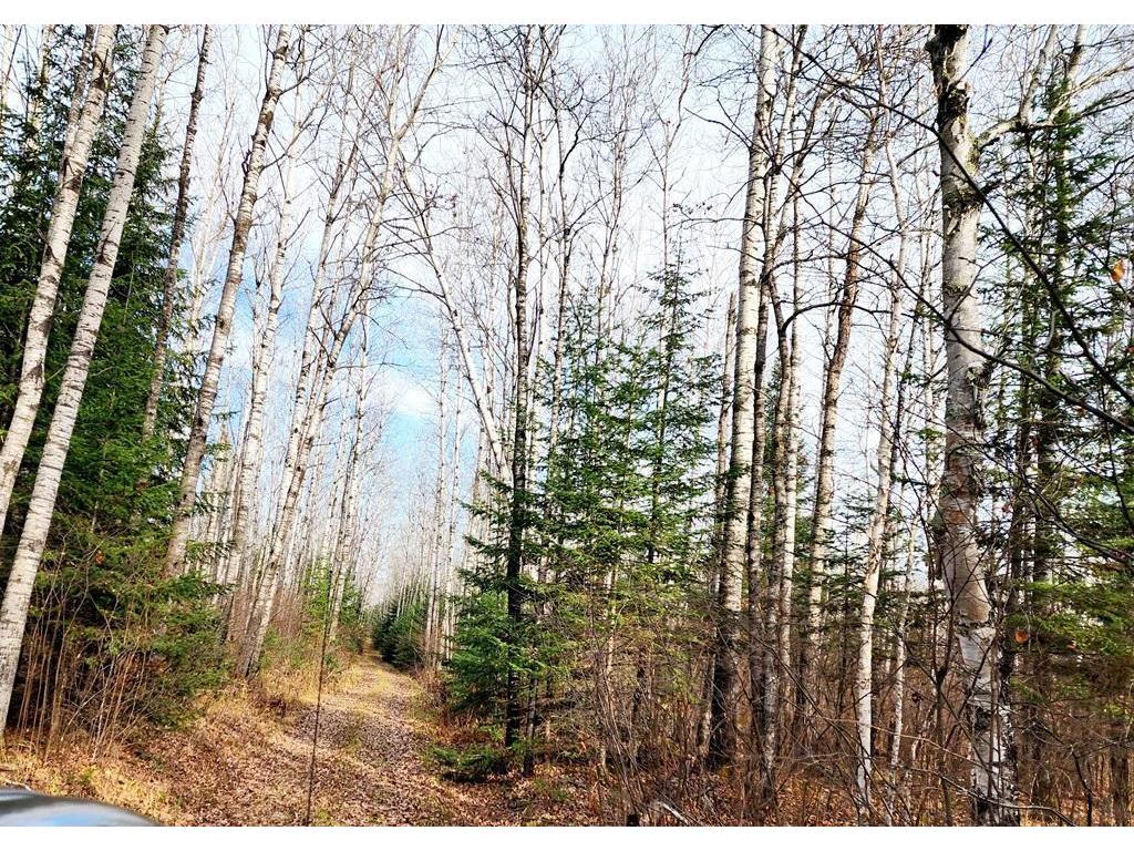 TBD County Rd 60 Grand Rapids MN 55744 6633113 image35