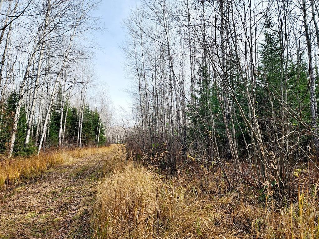 TBD County Rd 60 Grand Rapids MN 55744 6633113 image38