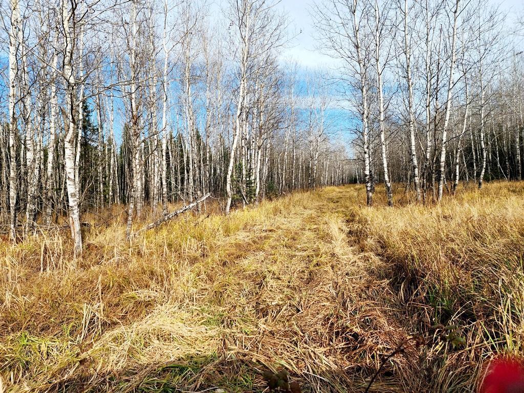 TBD County Rd 60 Grand Rapids MN 55744 6633113 image39