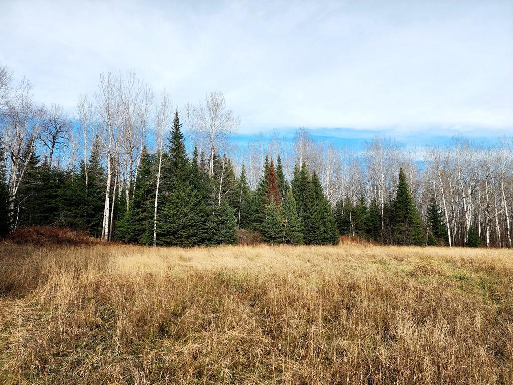 TBD County Rd 60 Grand Rapids MN 55744 6633113 image41