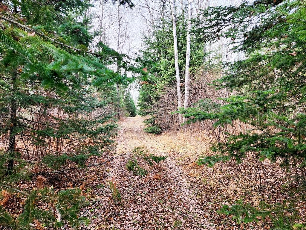 TBD County Rd 60 Grand Rapids MN 55744 6633113 image42