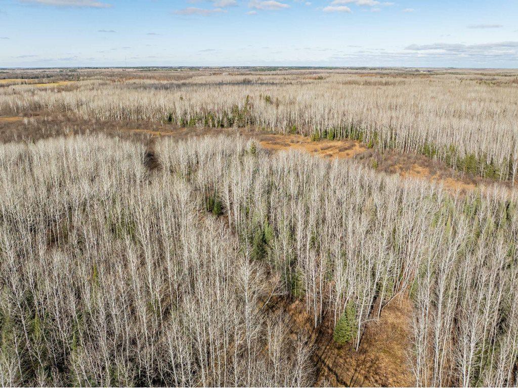 TBD County Rd 60 Grand Rapids MN 55744 6633113 image44