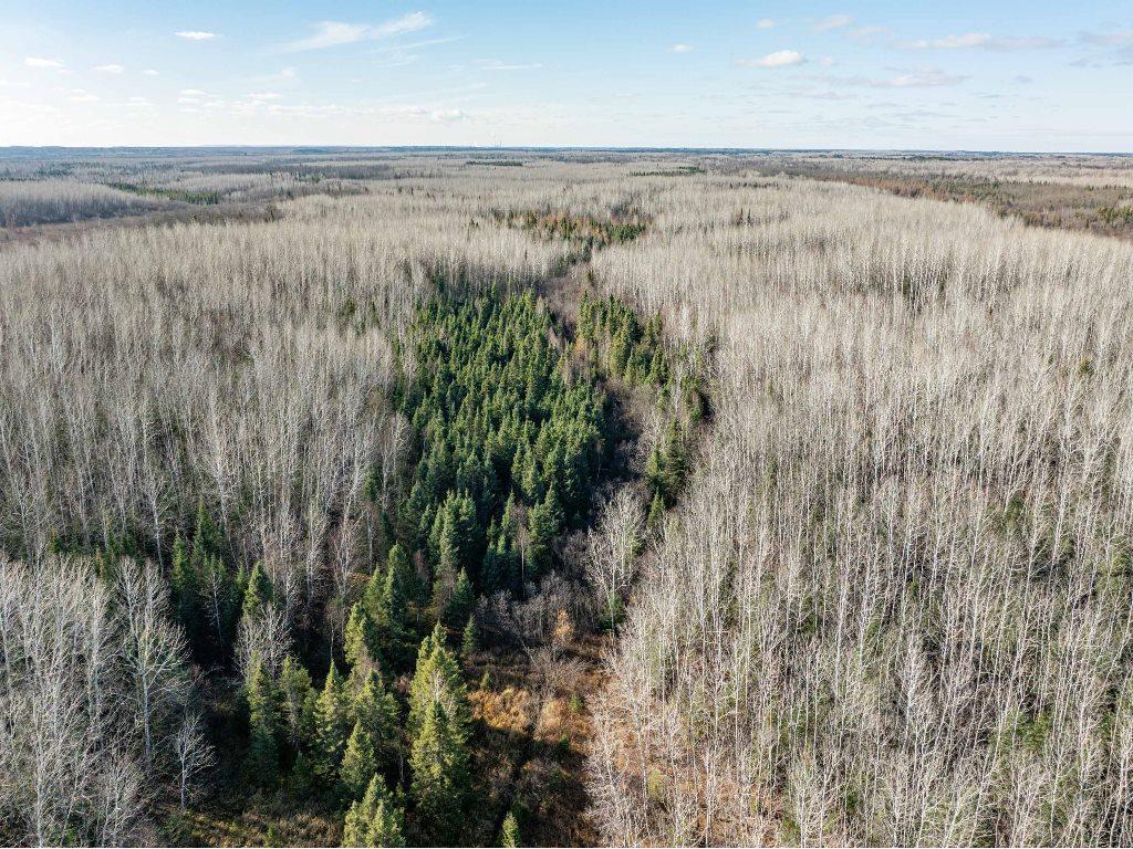 TBD County Rd 60 Grand Rapids MN 55744 6633113 image45