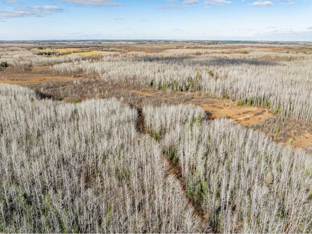 TBD County Rd 60 Grand Rapids MN 55744 6633113 image46