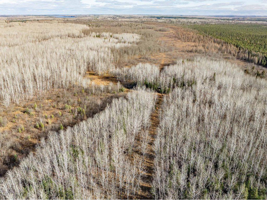 TBD County Rd 60 Grand Rapids MN 55744 6633113 image47