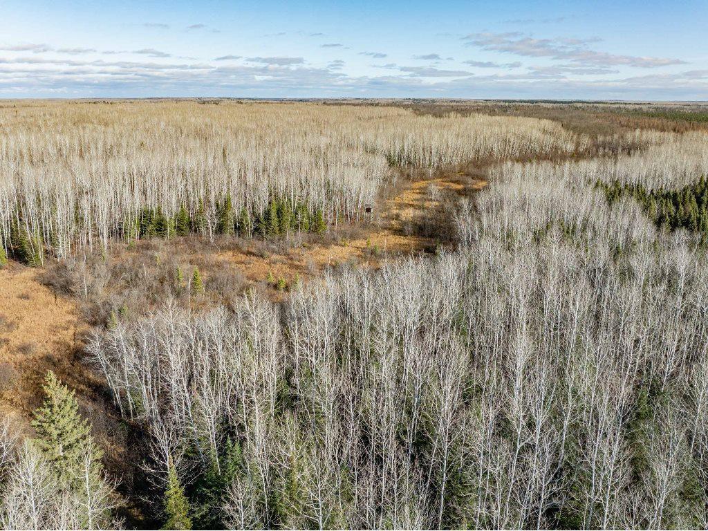 TBD County Rd 60 Grand Rapids MN 55744 6633113 image49