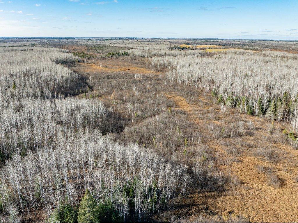 TBD County Rd 60 Grand Rapids MN 55744 6633113 image50