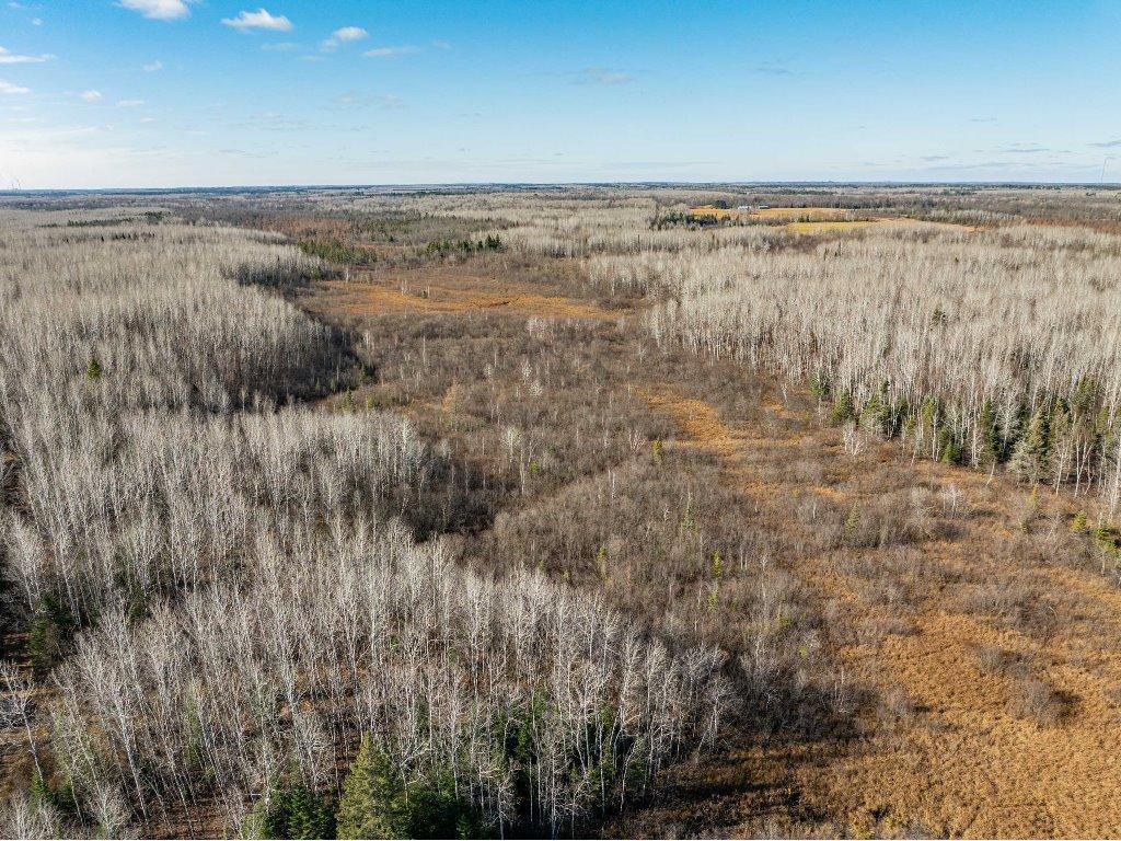 TBD County Rd 60 Grand Rapids MN 55744 6633113 image52