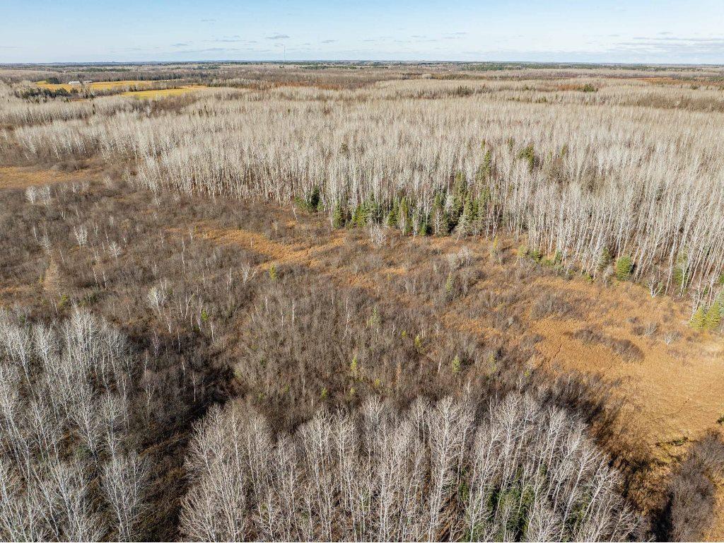 TBD County Rd 60 Grand Rapids MN 55744 6633113 image54