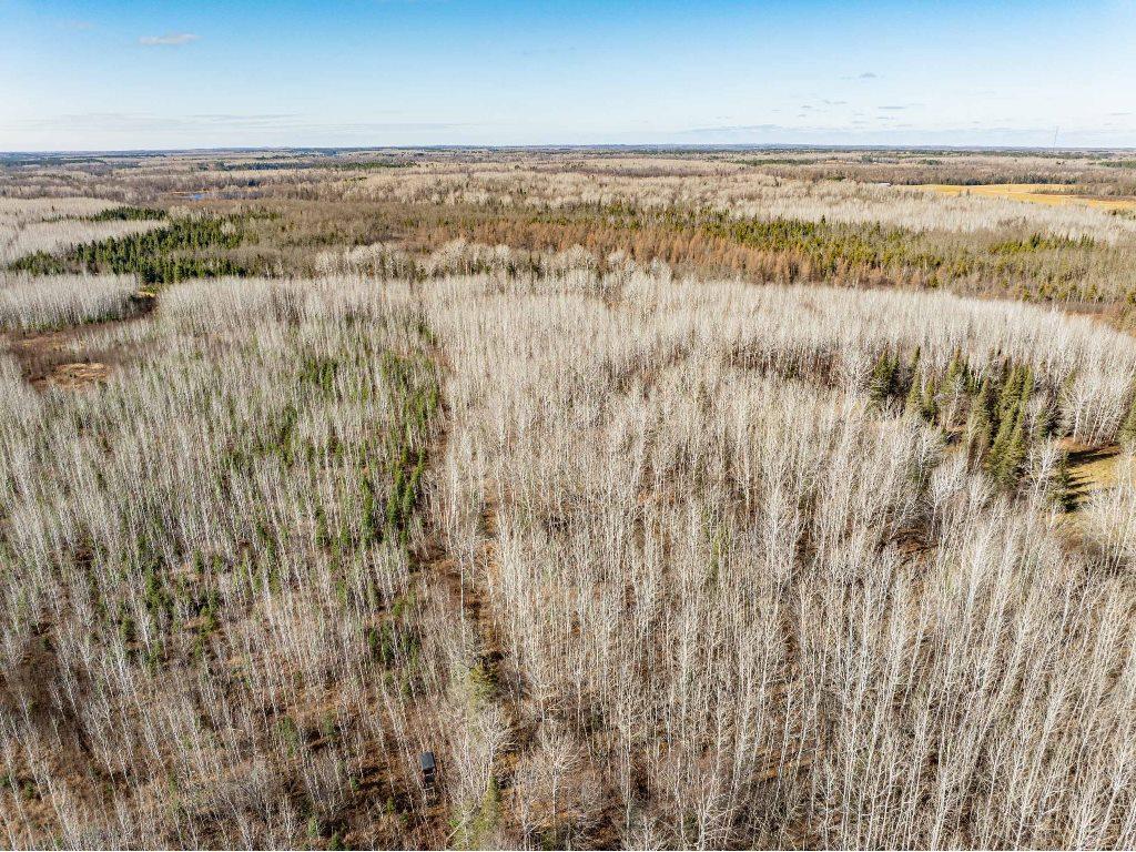 TBD County Rd 60 Grand Rapids MN 55744 6633113 image58