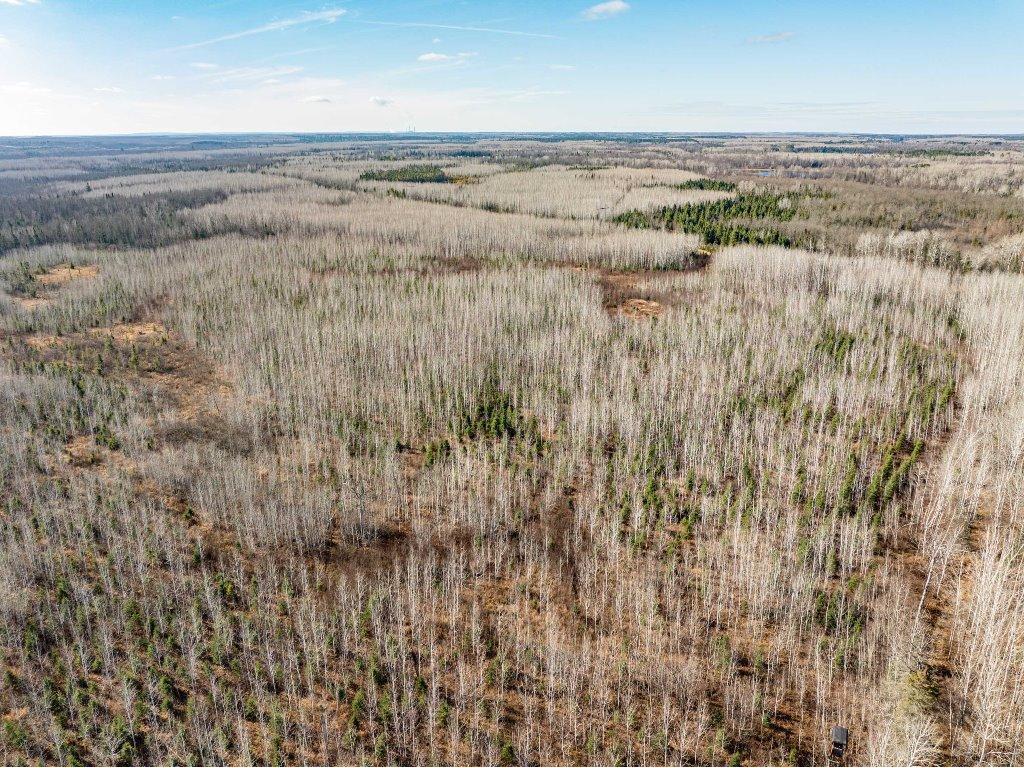 TBD County Rd 60 Grand Rapids MN 55744 6633113 image59